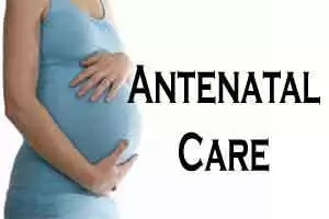 Guidelines for Pregnancy or Antenatal Care Guidelines for Pregnancy or Antenatal Care