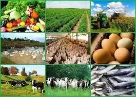 Employment Opportunities in Agriculture in Nigeria Employment Opportunities in Agriculture in Nigeria
