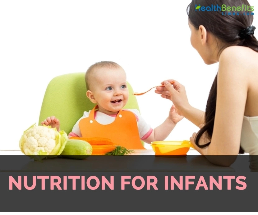 Dietary Needs Of Infants Dietary Needs Of Infants