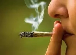 Why Young People Turn To Drugs Why Young People Turn To Drugs