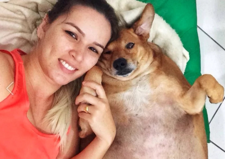 Touching: Abandoned, obese dog transforms into a healthy, well-loved pet