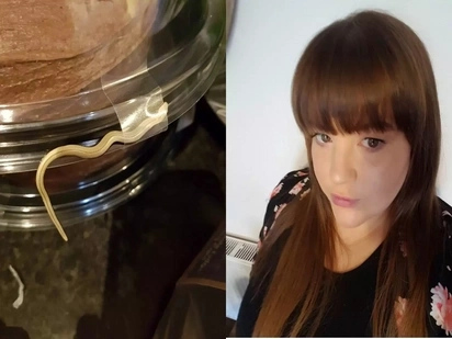 Forget snakes on a plane! Horrified mom found a snake on her cake!