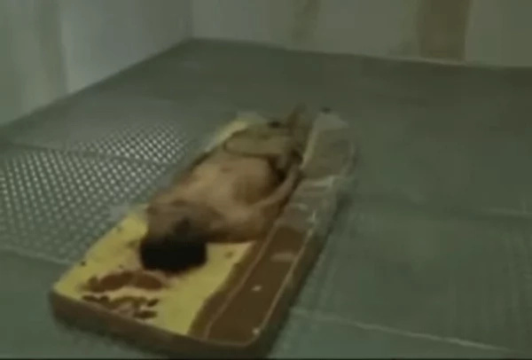 Footage Shows How Colonel Gaddafi Was Hunted And Brutally Killed Footage Shows How Colonel Gaddafi Was Hunted And Brutally Killed