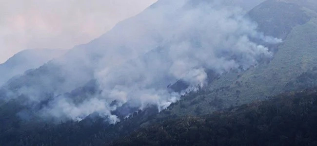 Mt. Apo fire now under control Mt. Apo fire now under control