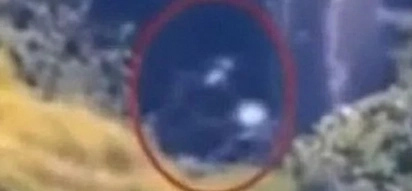 Holy Sh*t, This Is The REAL BIGFOOT On Video!