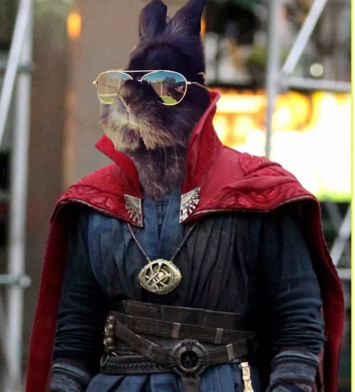 Somebody Put Sunglasses on a Cute Bunny and Internet Went Totally Insane (10+ Pics) Somebody Put Sunglasses on a Cute Bunny and Internet Went Totally Insane (10+ Pics)