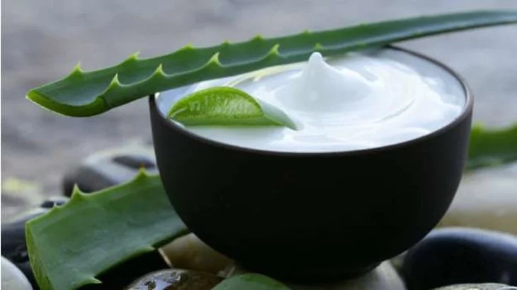 Amazing things you can do with aloe vera Amazing things you can do with aloe vera