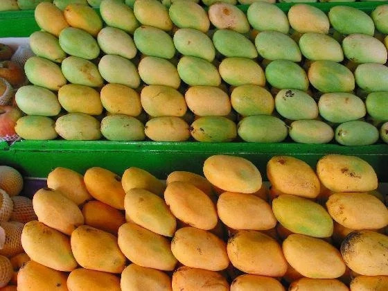 Chinese netizens call to boycott PH mangoes Chinese netizens call to boycott PH mangoes