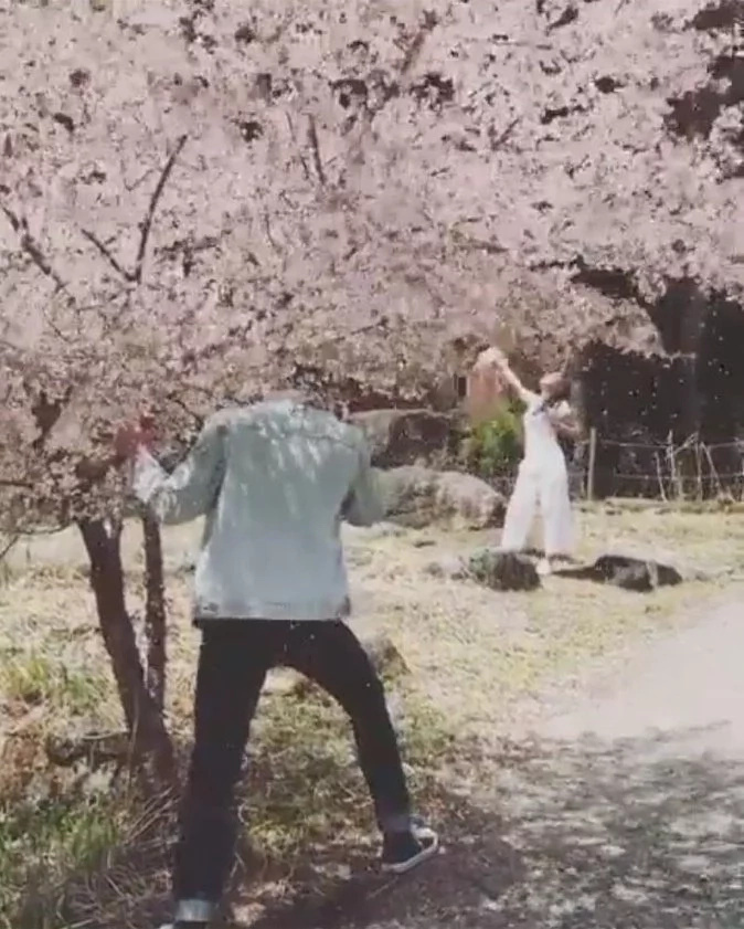 daniel-sakura daniel-sakura