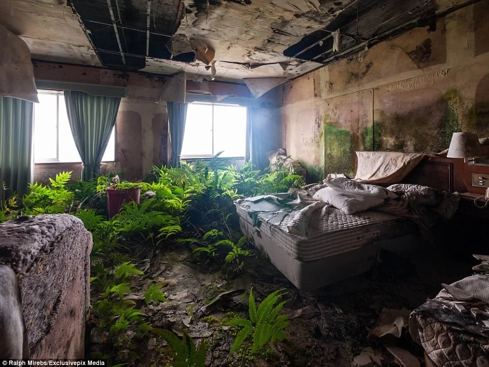 abandoned-hotel-surprise abandoned-hotel-surprise