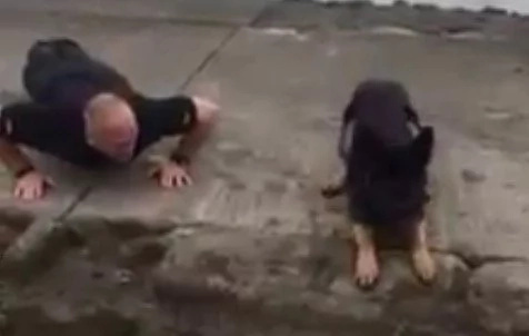 Watch: This fuzzy policeman does pushups like a real officer of the force Watch: This fuzzy policeman does pushups like a real officer of the force
