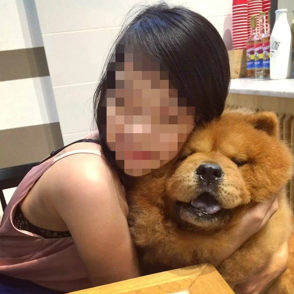 dog-lover dog-lover