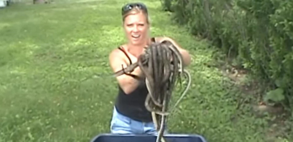 Watch thsi girl catch water snakes with her bare hands Watch thsi girl catch water snakes with her bare hands