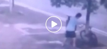 Chinese man chopping tree to steal bike earns outrage of netizens