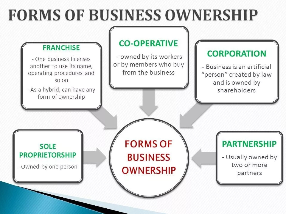 form of business ownership in business plan