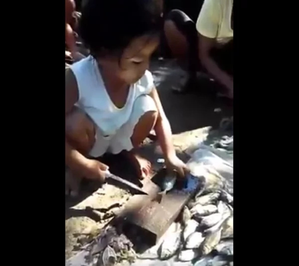 Young girl earns money by scaling fishes using a sharp knife Young girl earns money by scaling fishes using a sharp knife