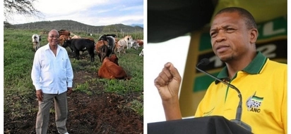 Hawks to probe Supra’s R1.5 million cattle gift to Zuma
