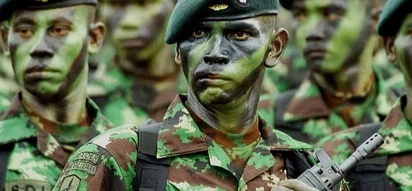 PH, Indonesia to join military forces?