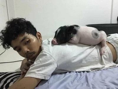 See the adorable relationship of this boy and his cuddly pig in these pictures