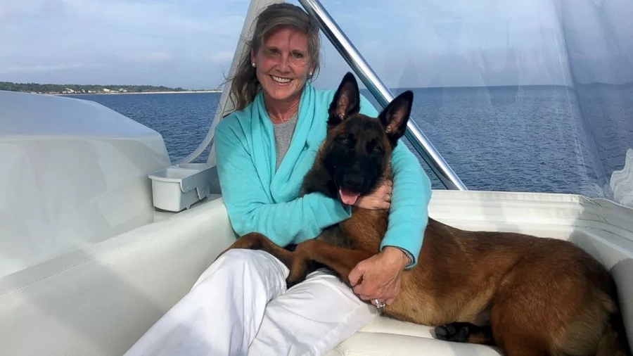 Rylee swam and walked more than 30kms to find owners Rylee swam and walked more than 30kms to find owners