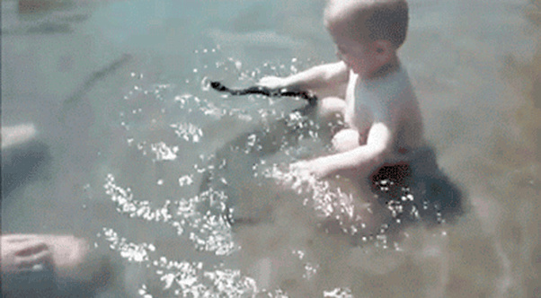 Incredible footage of Russian baby playing with water snake Incredible footage of Russian baby playing with water snake