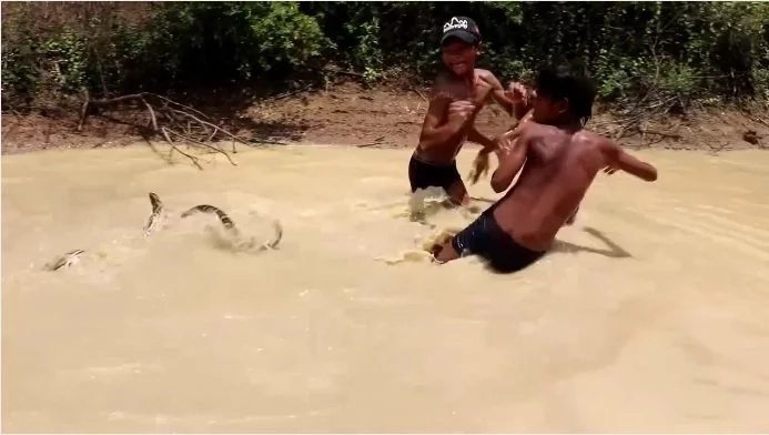 python python