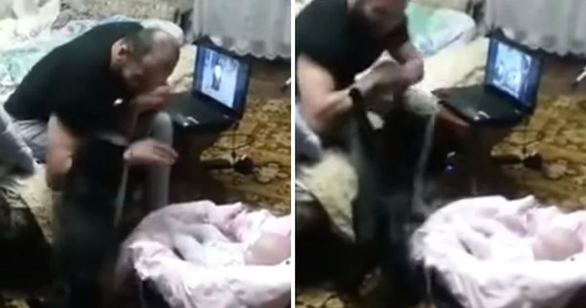 Cat defends baby from father Cat defends baby from father