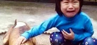 Vietnamese girl finds missing dog roasted and sold