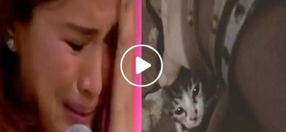 Devastated Heart Evangelista calls out neighbors for abandoning their pets