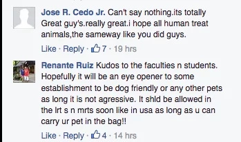 Everyone loves stray dog 'Enzo' with school ID in QC college Everyone loves stray dog 'Enzo' with school ID in QC college