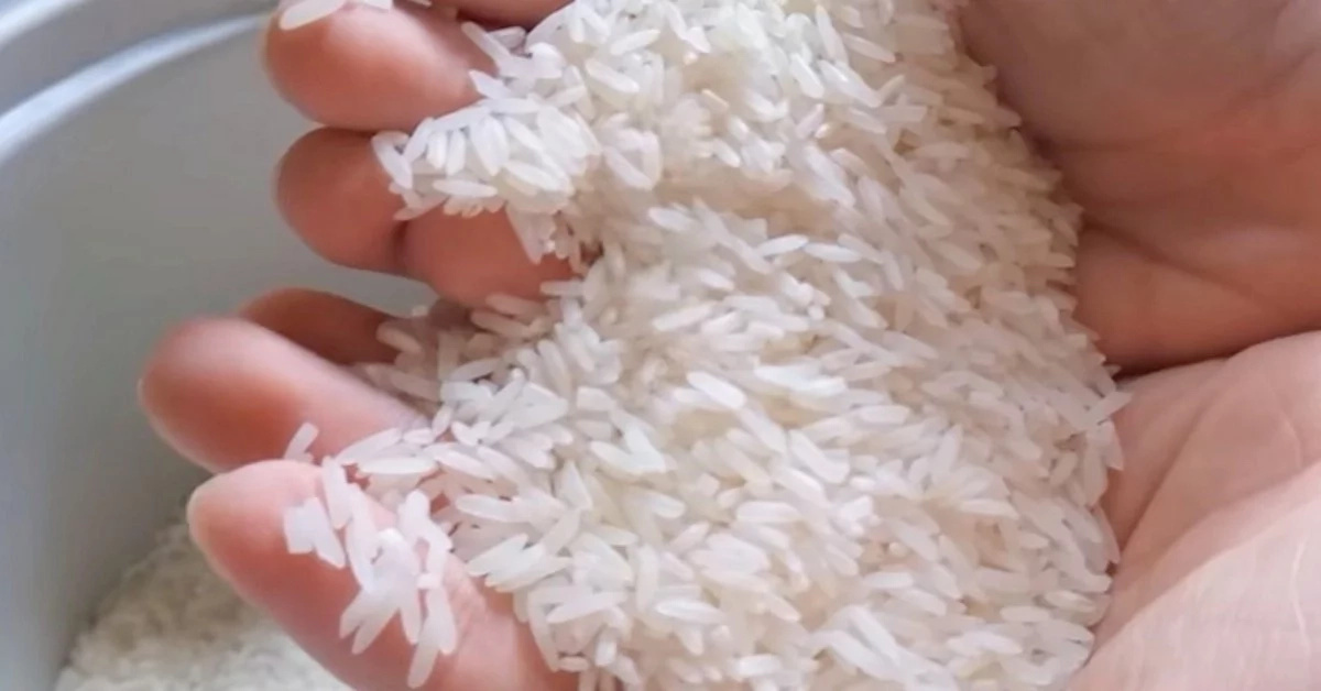 China Is Making Rice From Plastic - Here's How To Spot It China Is Making Rice From Plastic - Here's How To Spot It
