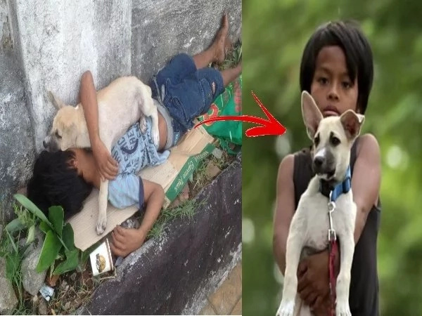 Parents Abandoned This Young Boy! Him and His Dog Only Have Each Other! Parents Abandoned This Young Boy! Him and His Dog Only Have Each Other!