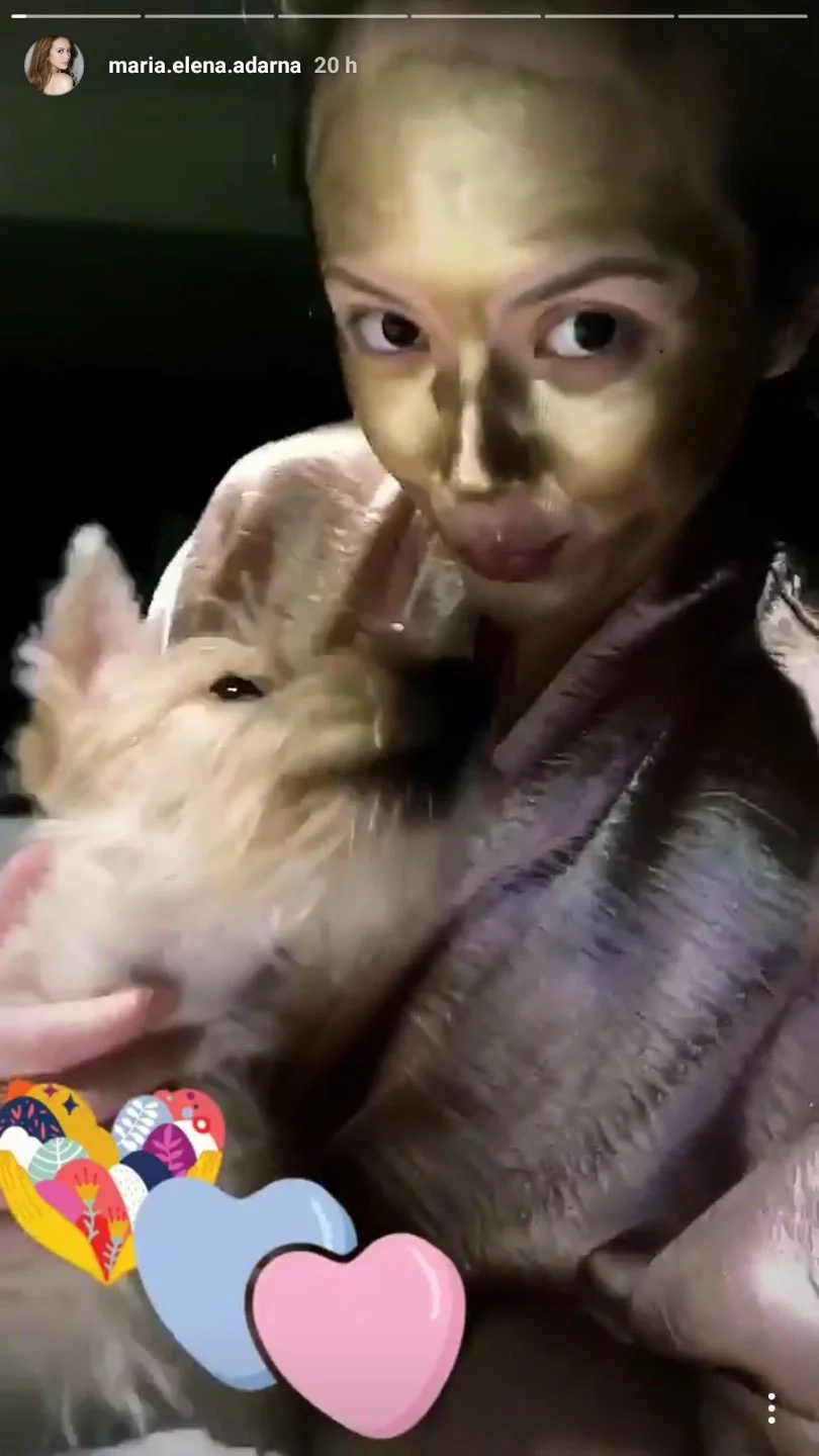 Netizens natatagalan sa 'public apology' ni Ellen Adarna, inuudyukan mag-inang idemanda na ang 'brat' Netizens natatagalan sa 'public apology' ni Ellen Adarna, inuudyukan mag-inang idemanda na ang 'brat'