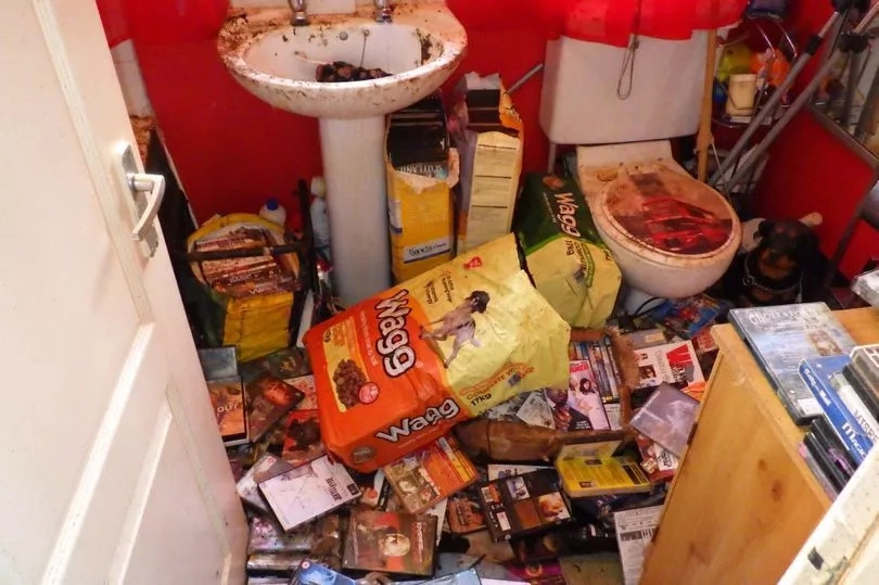 Inside House Of Horrors Full Of Dead Pets Including Dog Still Chained To Kennel Inside House Of Horrors Full Of Dead Pets Including Dog Still Chained To Kennel