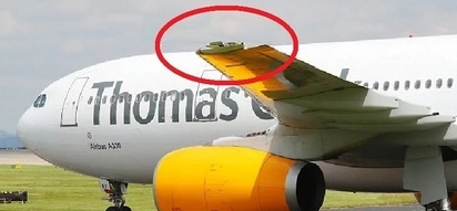 Broken wing plus low oil alert. Plane had to do an emergency landing!
