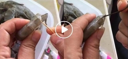 Do you know how to properly clean shrimps before cooking them? You should check out this quick hack!