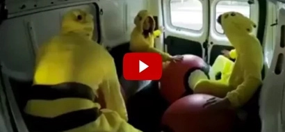 OMG! Pokémon fights back; what happened to the first victim will make you laugh!
