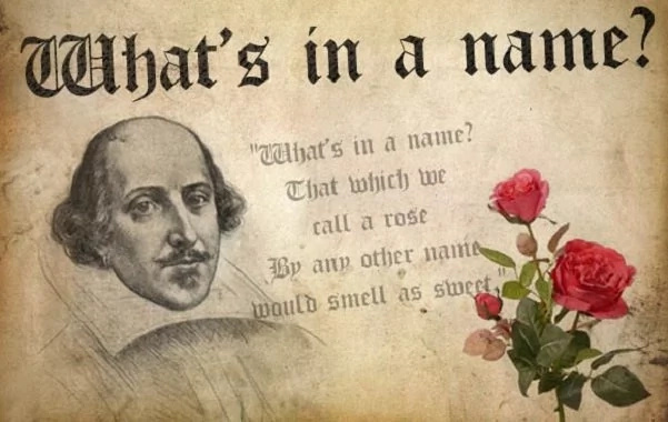 celebrity-real-name celebrity-real-name