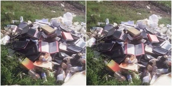 Image result for Pastor burns thousands of Bibles,