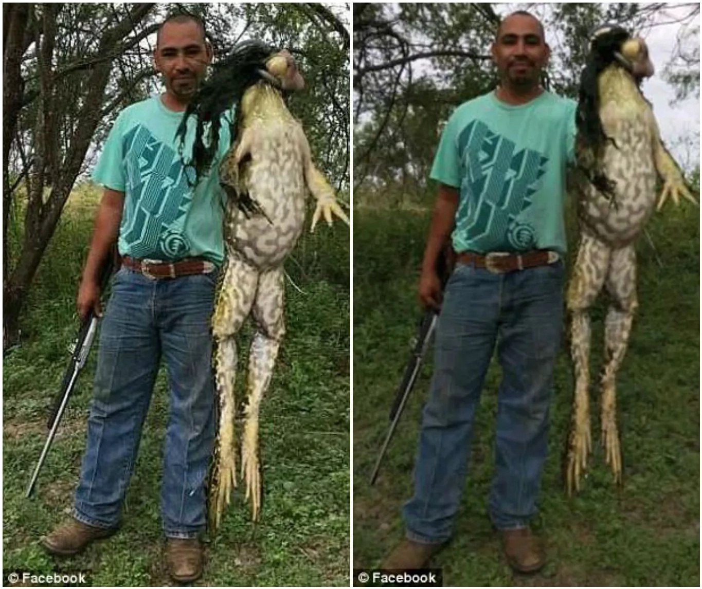 13-pound monster frog caught in Texas