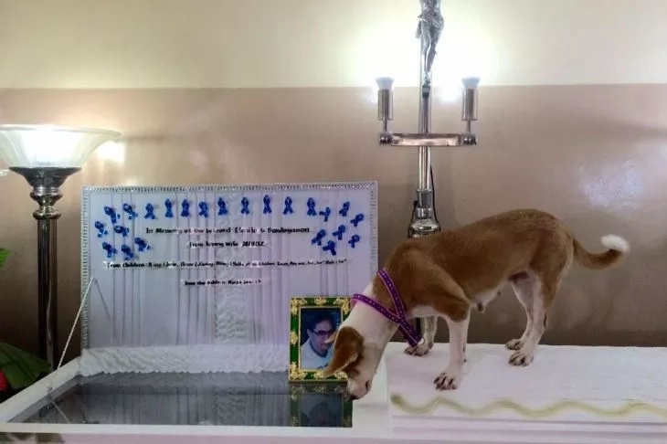Saicy, 'Hachiko of Davao' still waits for her master's return Saicy, 'Hachiko of Davao' still waits for her master's return