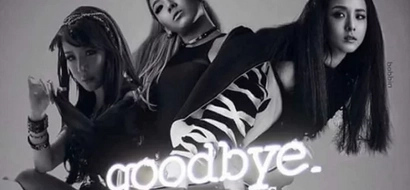 Goodbye! 2NE1 to release last song as a group this month