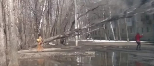 10 Near-death experiences caught on video. 10 Near-death experiences caught on video.