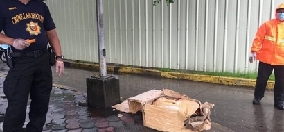 4 'salvage' victims found; 2 bodies stuffed inside boxes