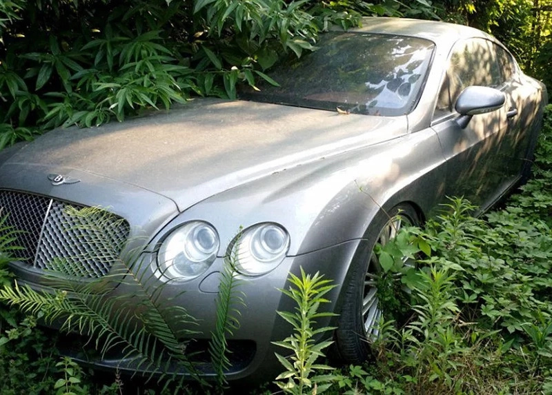 Luxury cars abandoned at a car park, covered in weeds