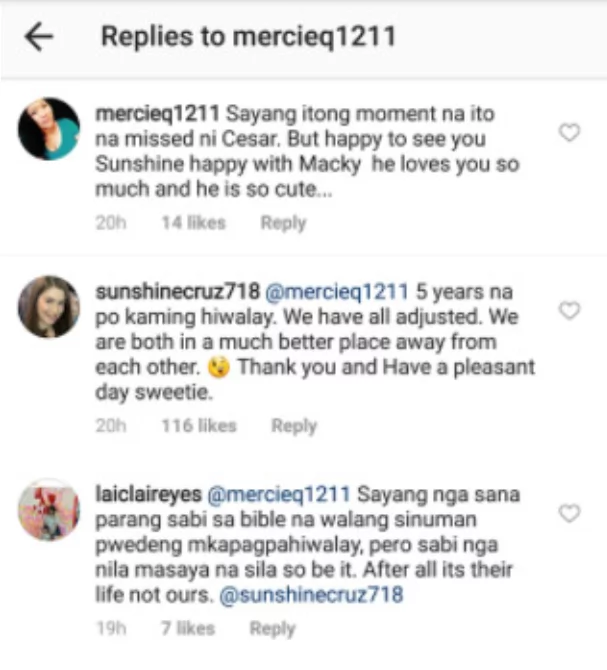 Sunshine Cruz shuts down netizen who commented about Cesar Montano Sunshine Cruz shuts down netizen who commented about Cesar Montano