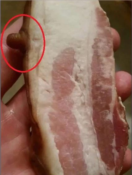 Netizens disgusted on "nipple bacon" photo Netizens disgusted on "nipple bacon" photo