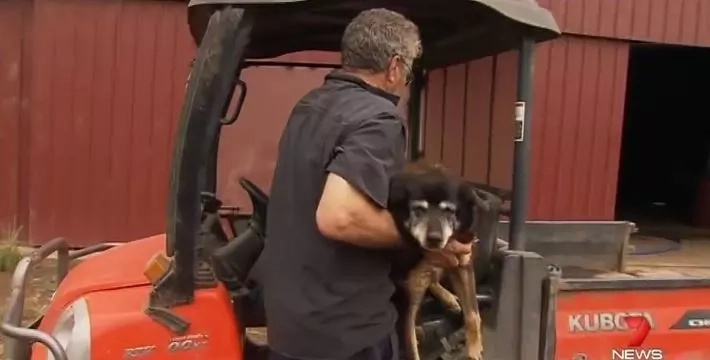 This Could Be The Oldest Dog In The World, But Her Owner Can’t Prove It This Could Be The Oldest Dog In The World, But Her Owner Can’t Prove It