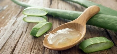 4 beautiful things you can do with aloe vera, learn them firsthand!