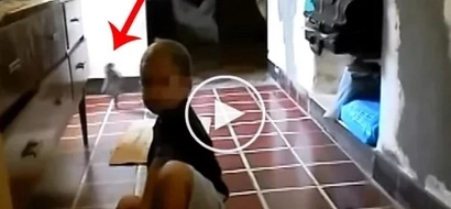 A mother was filming her son while this creature was caught on a video...